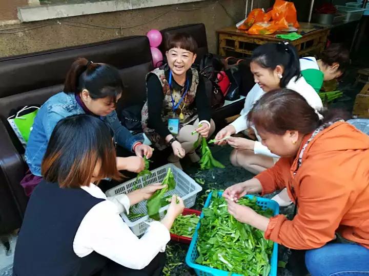 九九重阳节 九九重阳节